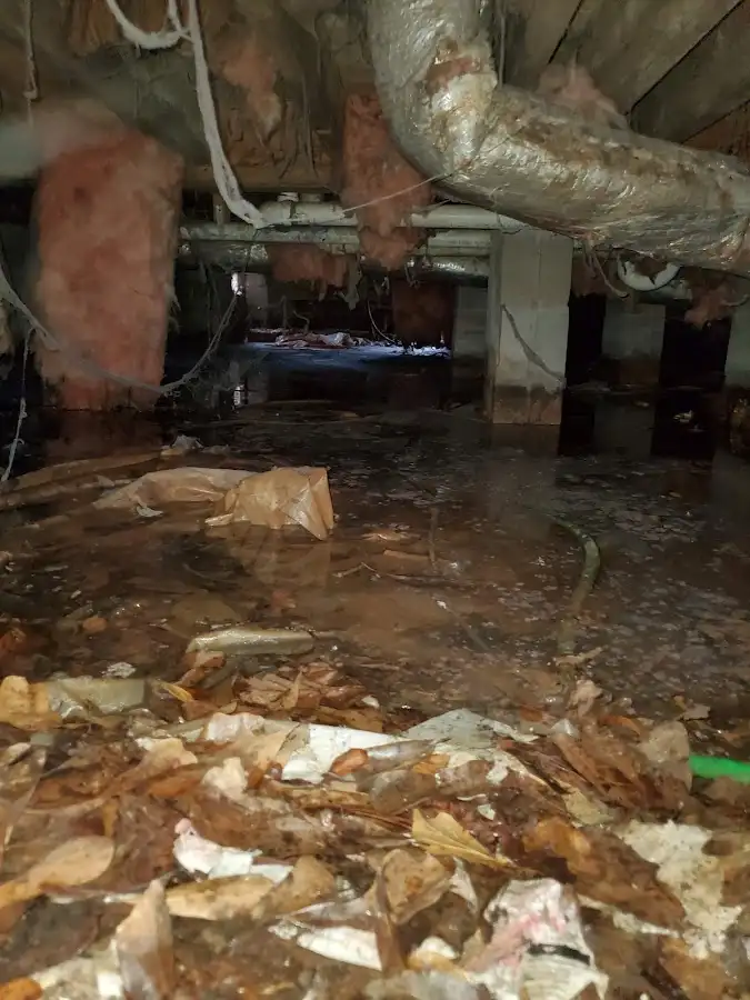 Crawl space flood assessment for Leak Detection & Repair in Dallas